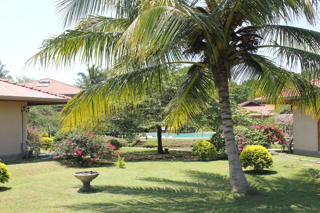 Hibiscus Garden Hotel Tissamaharama Esterno foto