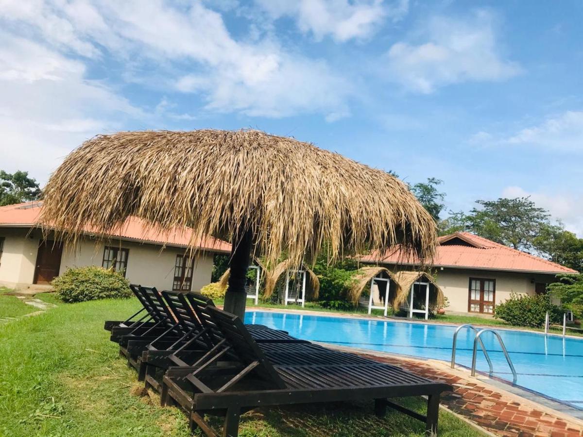 Hibiscus Garden Hotel Tissamaharama Esterno foto