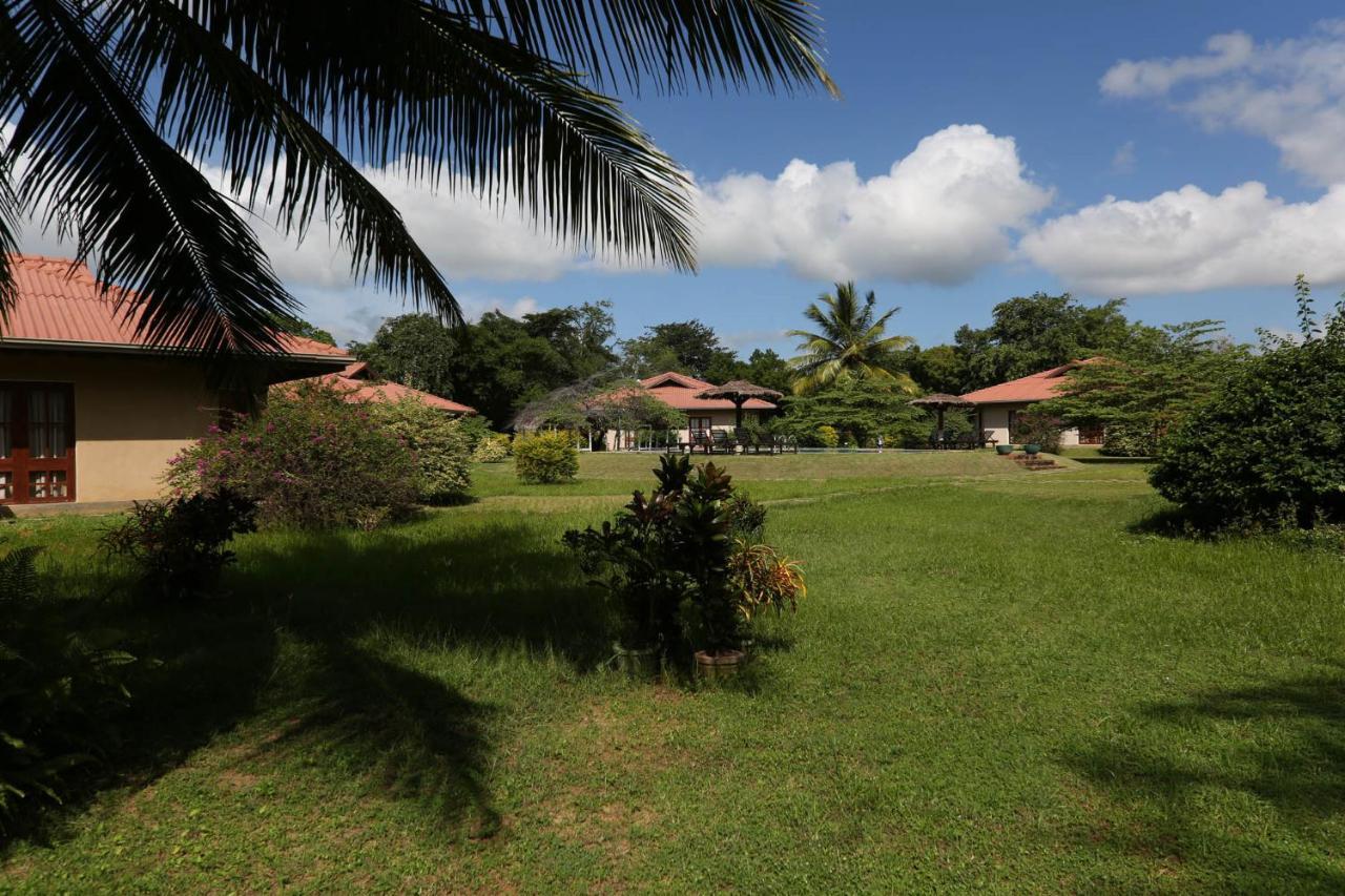 Hibiscus Garden Hotel Tissamaharama Esterno foto